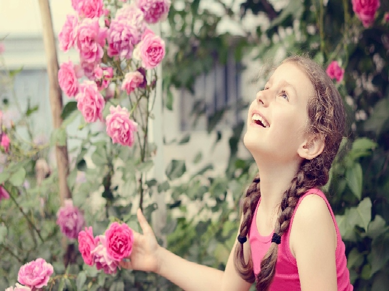 杨女士成功案例